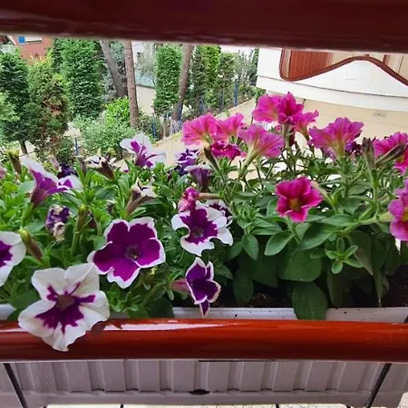 Apartment Family In *