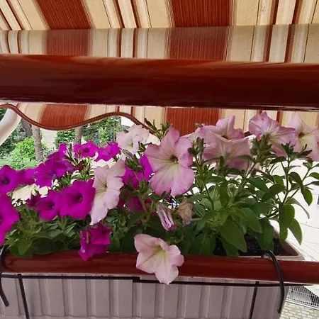 Apartment Family In Golem (Tirana)