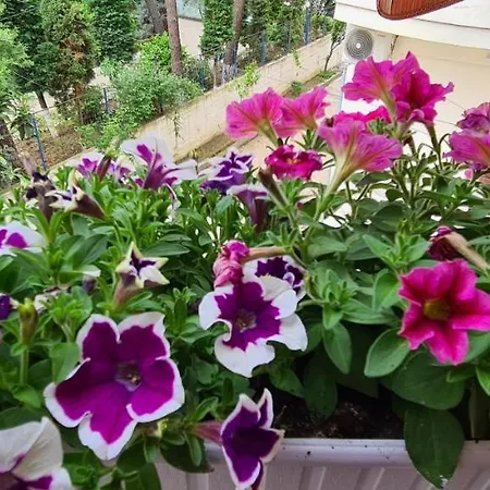 Appartement Family In