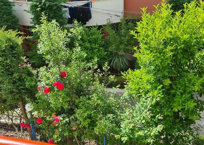 Apartment Family In *