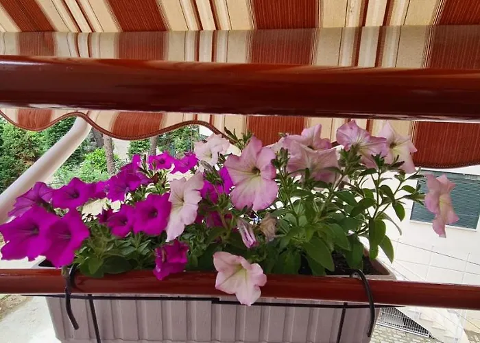 Apartment Family In Golem (Tirana)