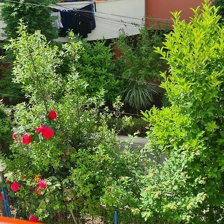 Apartment Family In *