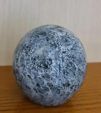 Family In 아파트 골렘