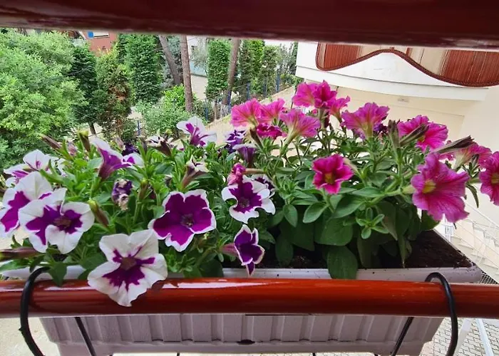 Apartman Family In *