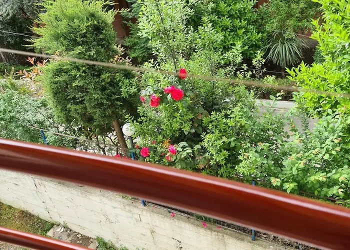 Apartman Family In *